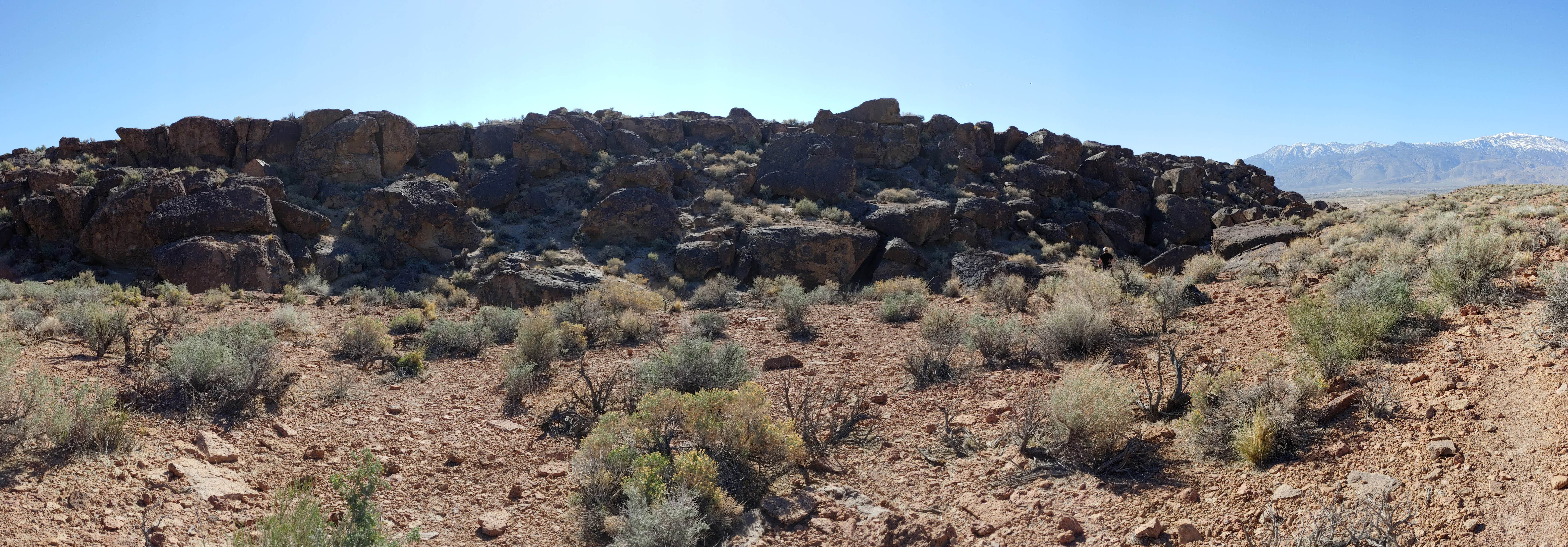 Camper submitted image from Volcanic Tableland BLM Dispersed Camping - 2