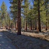 Review photo of Sagehen Meadows Campground by Laura M., April 7, 2021