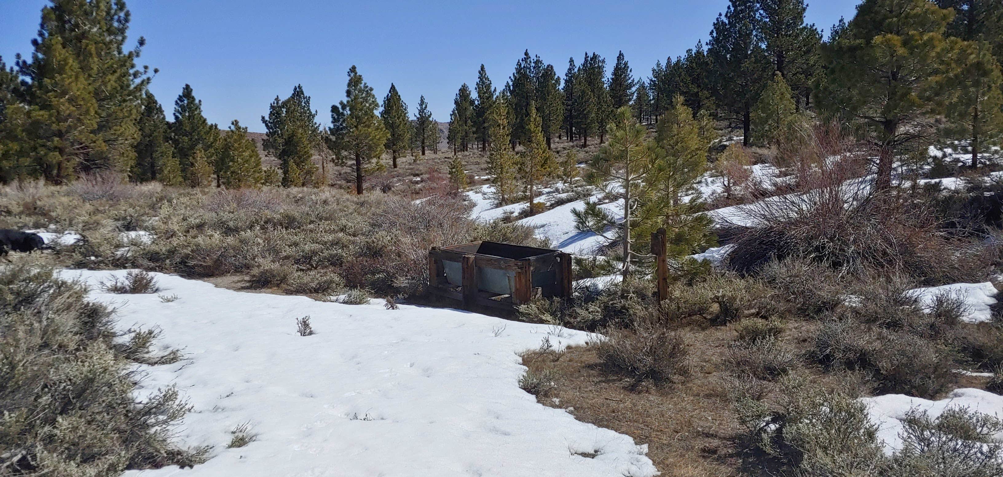 Camper-submitted photo at Sagehen Meadows Campground near Tahoe National Forest