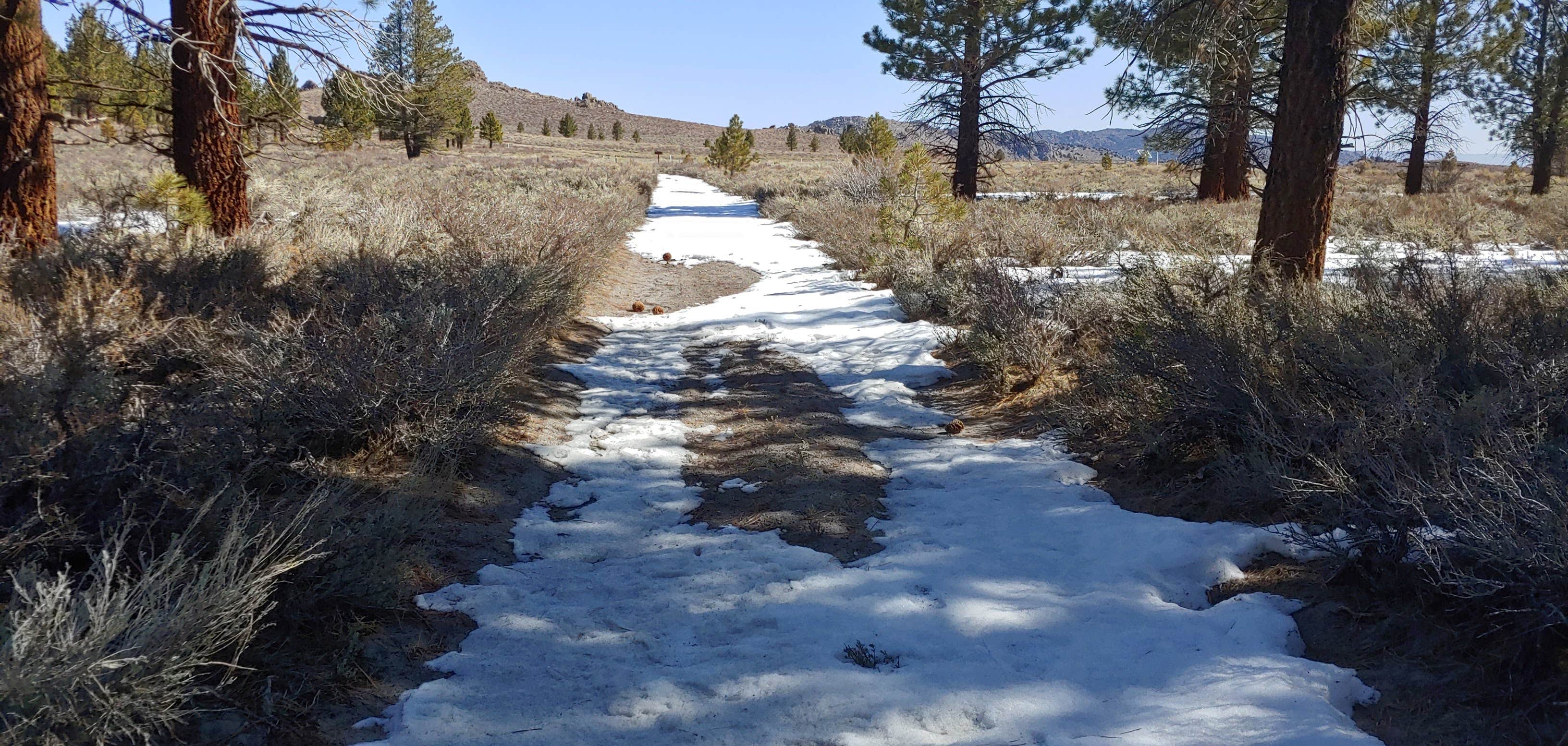 Camper submitted image from Sagehen Meadows Campground - 3