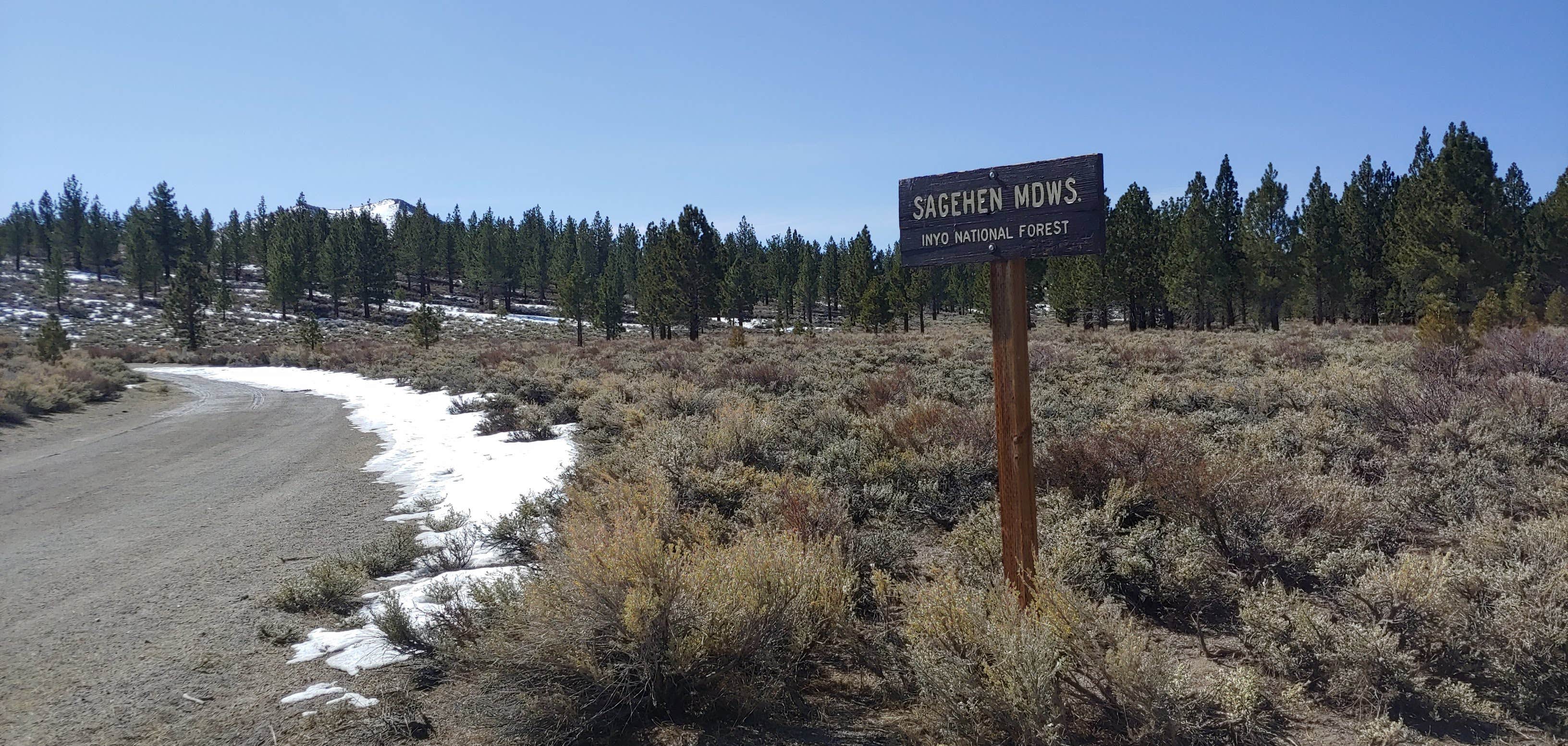 Camper-submitted photo at Sagehen Meadows Campground near Tahoe National Forest