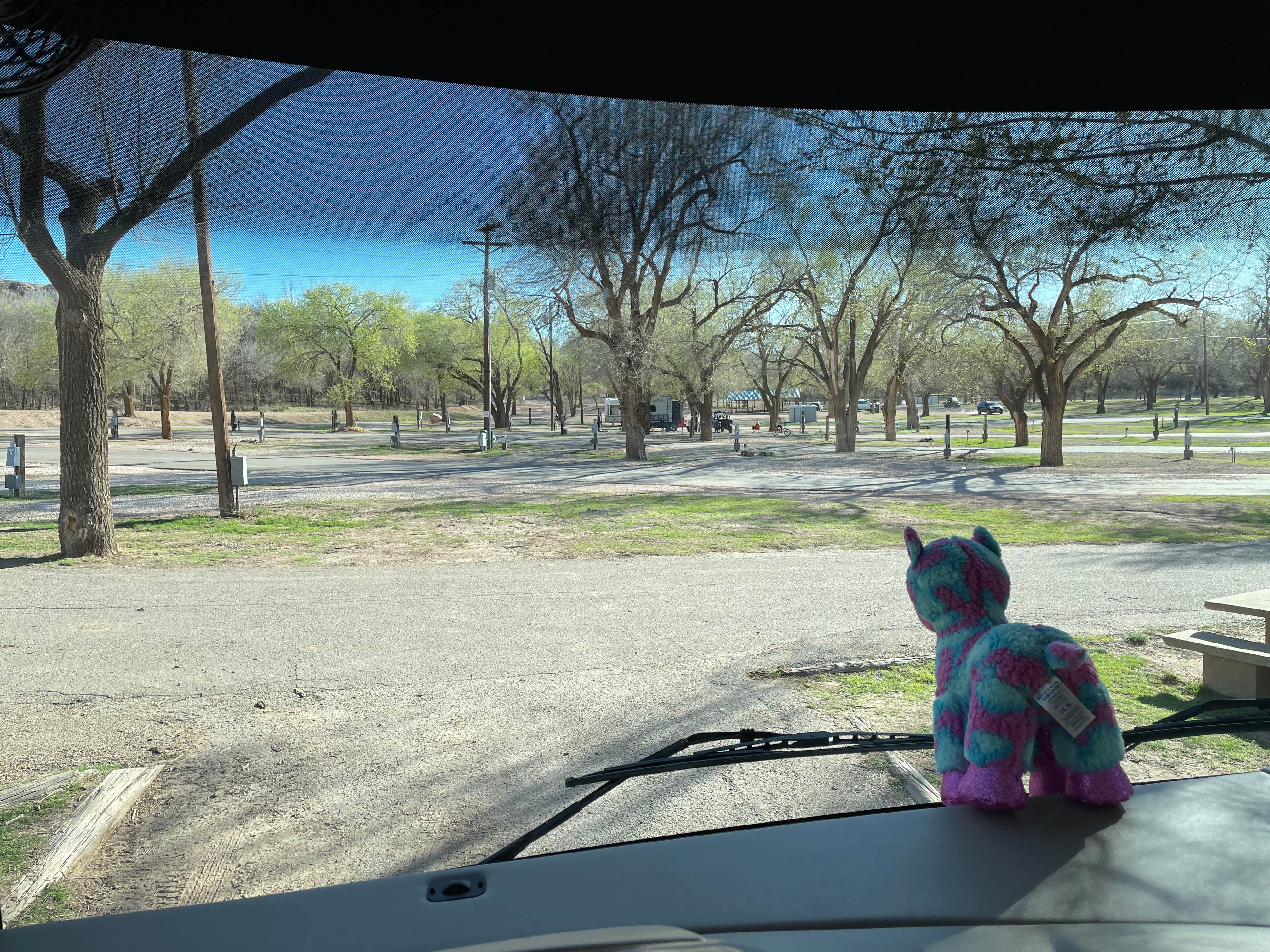 Camper submitted image from Buffalo Springs Lake - 1