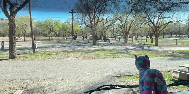 Camper submitted image from Buffalo Springs Lake