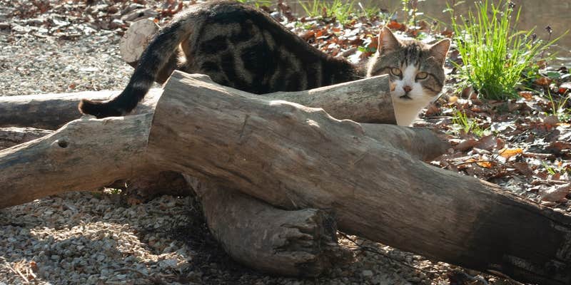 Camper submitted image from Clear Creek Rec Area