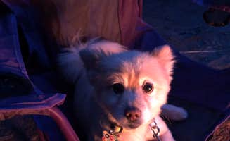 Glenda D.'s photo of camping with pets at Apostle Islands Area RV park and Camping near Apostle Islands National Lakeshore