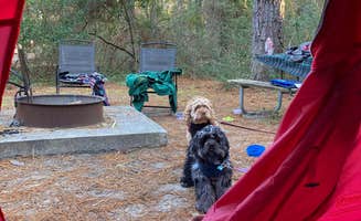 Lydia's photo at Carolina Beach State Park Campground near Leland, NC