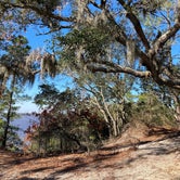 Review photo of Carolina Beach State Park Campground by Lydia , April 7, 2021