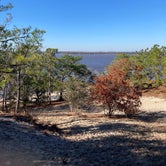Review photo of Carolina Beach State Park Campground by Lydia , April 7, 2021