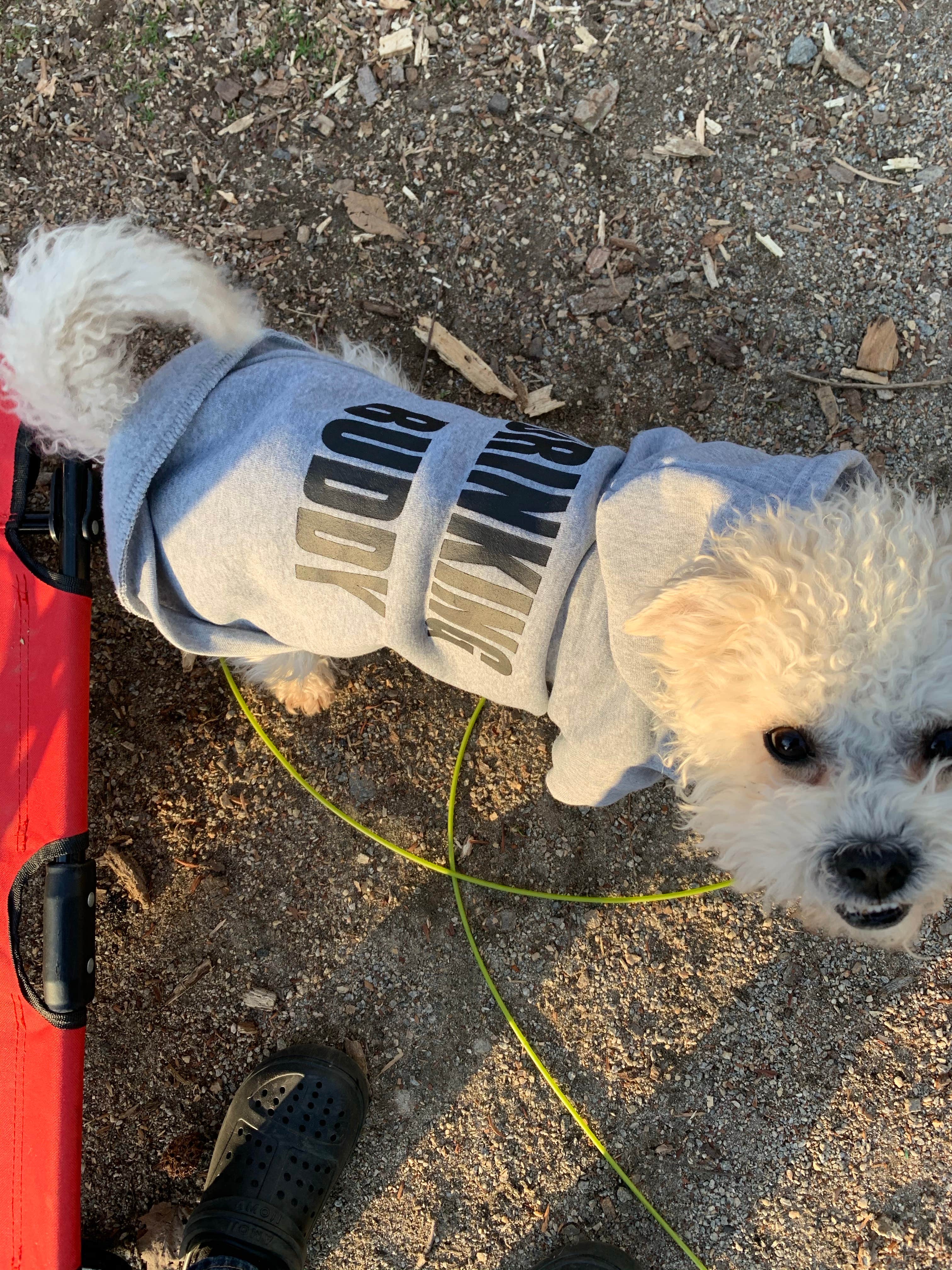 Laure D.'s photo of camping with pets at Lums Pond State Park Campground near Kirkwood, DE
