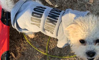 Laure D.'s photo of camping with pets at Lums Pond State Park Campground near Newark, DE