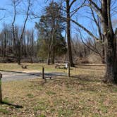 Review photo of Lums Pond State Park Campground by Laure D., April 7, 2021