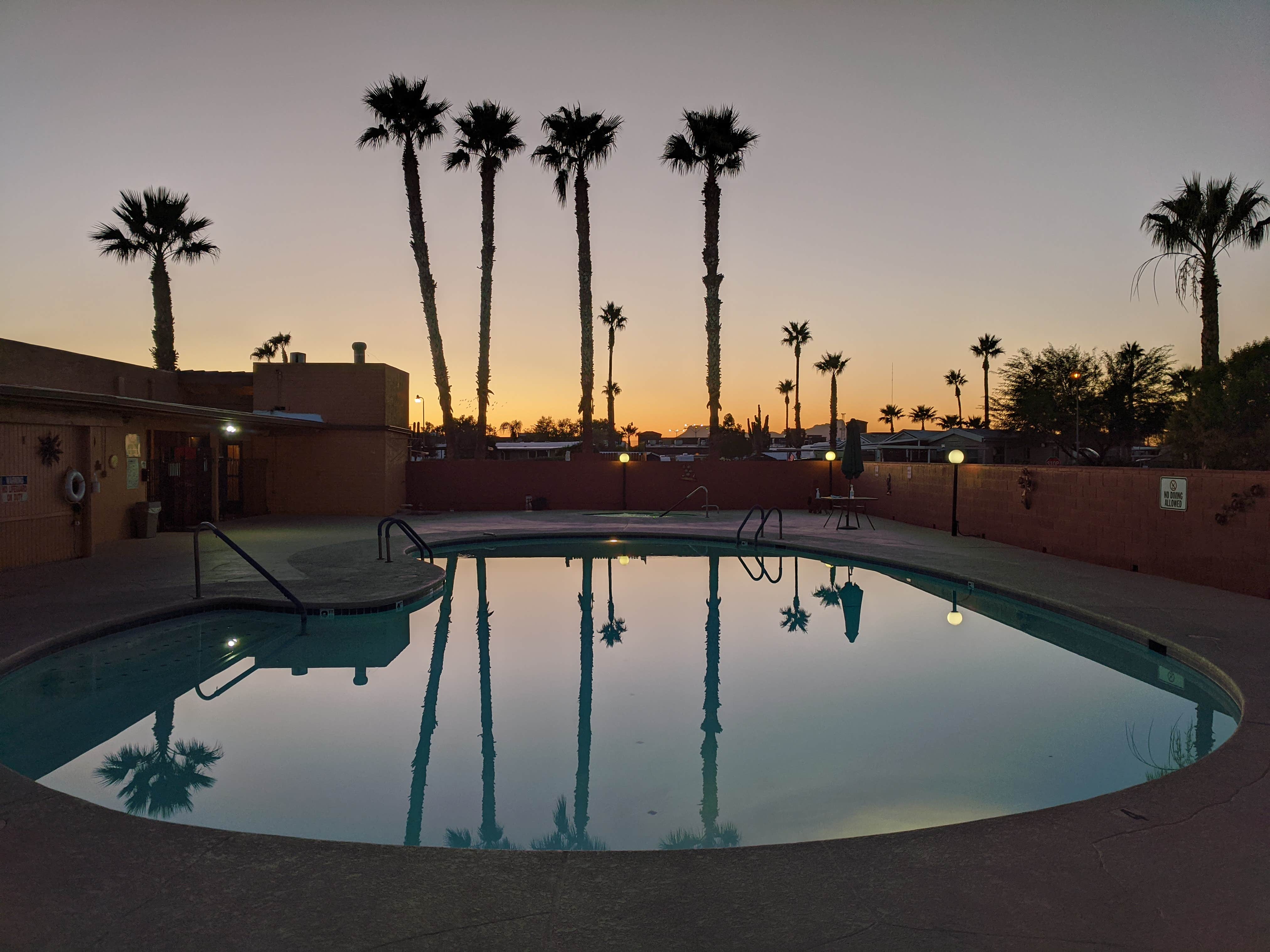 Camper-submitted photo at South Forty RV Ranch near Cortaro, AZ