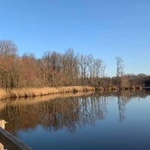 Review photo of Lums Pond State Park Campground by Laure D., April 7, 2021
