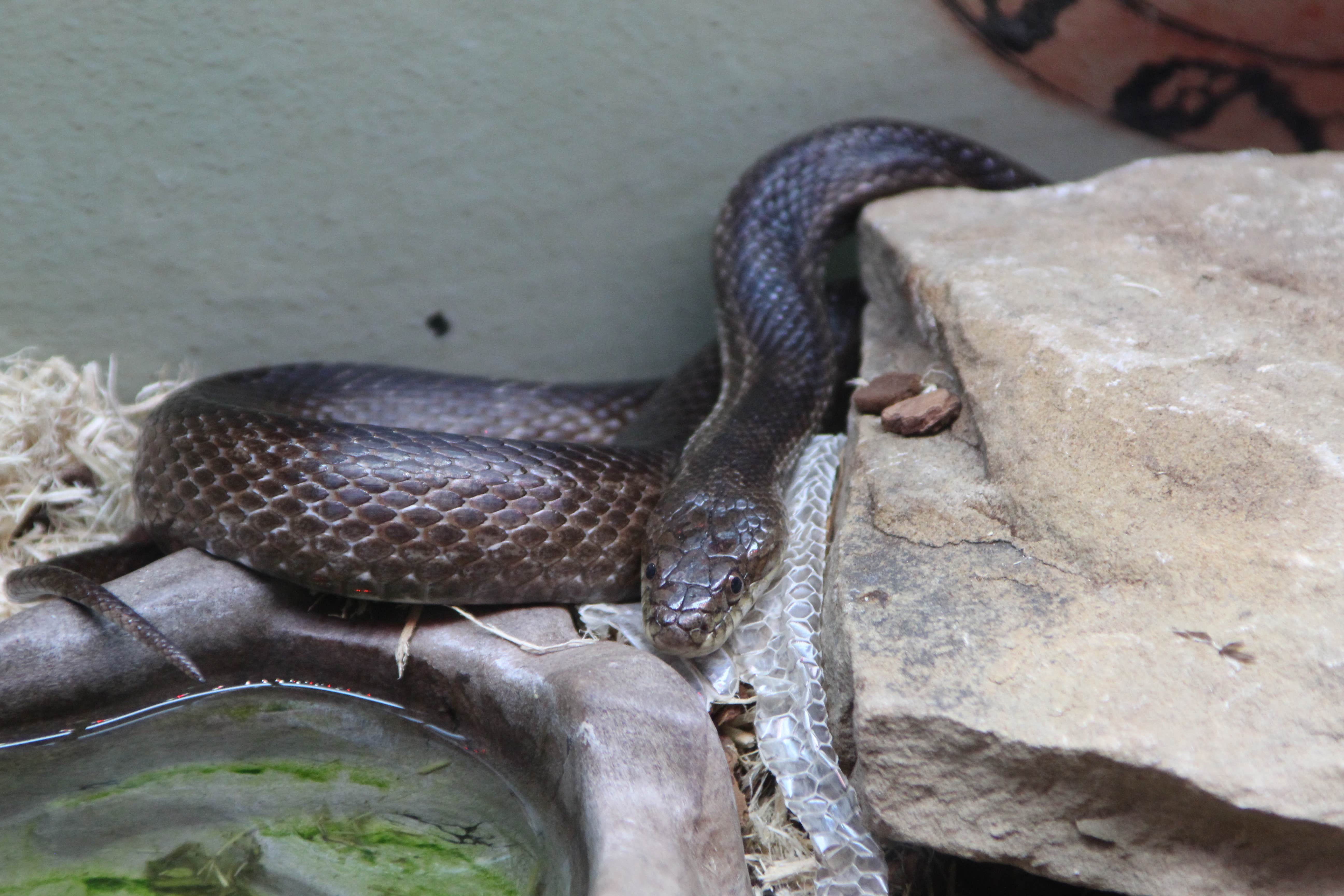 Camper-submitted photo at COE Rend Lake North Sandusky Recreation Area near Rend Lake
