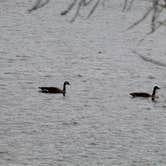 Review photo of COE Rend Lake North Sandusky Recreation Area by Joel R., April 7, 2021