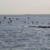 Review photo of COE Rend Lake North Sandusky Recreation Area by Joel R., April 7, 2021