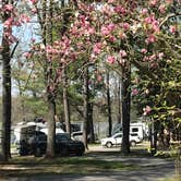 Review photo of COE Rend Lake North Sandusky Recreation Area by Joel R., April 7, 2021