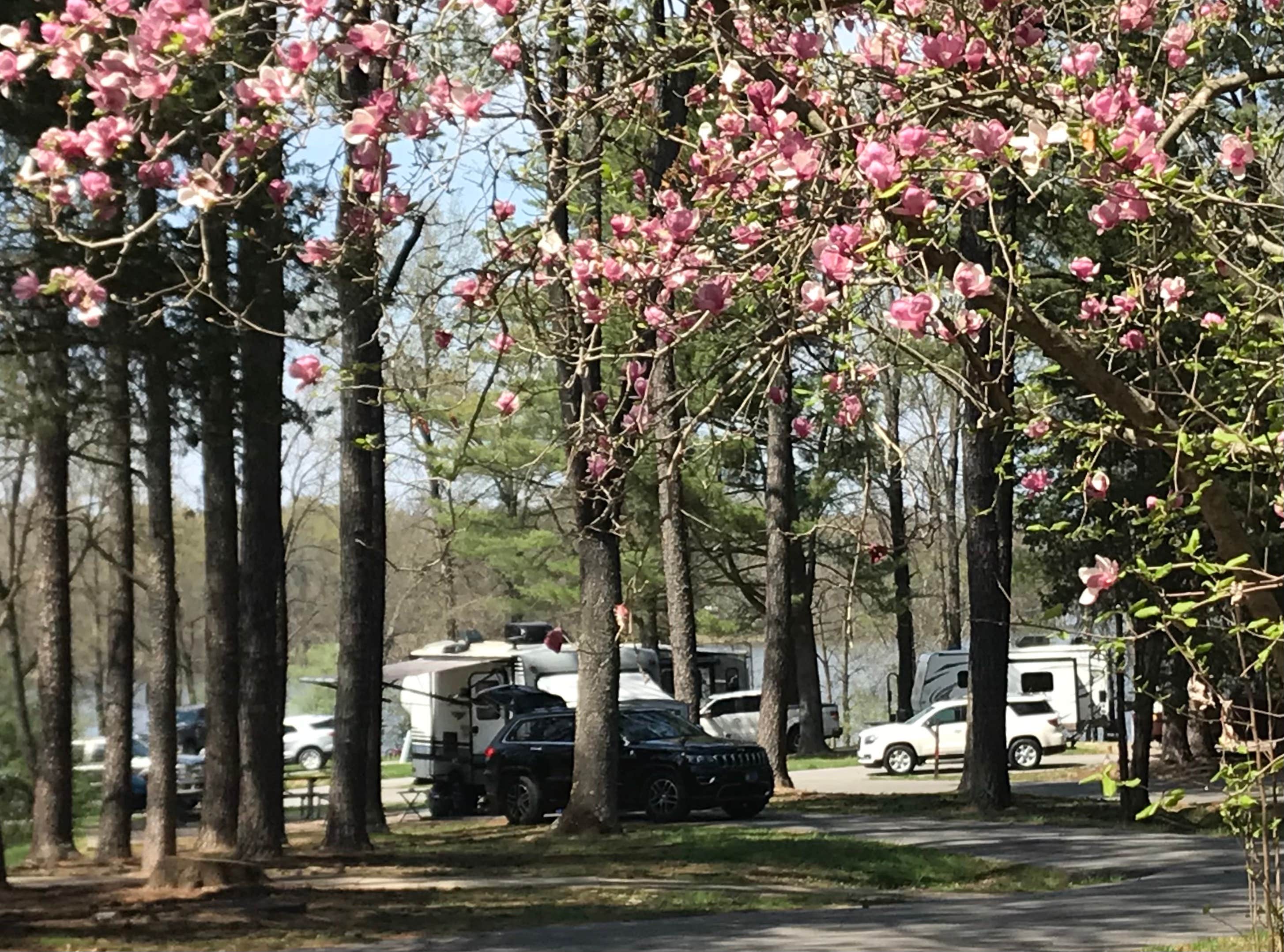 Camper submitted image from COE Rend Lake North Sandusky Recreation Area - 4