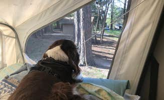 Joel R.'s photo of camping with pets at COE Rend Lake North Sandusky Recreation Area near Bonnie, IL
