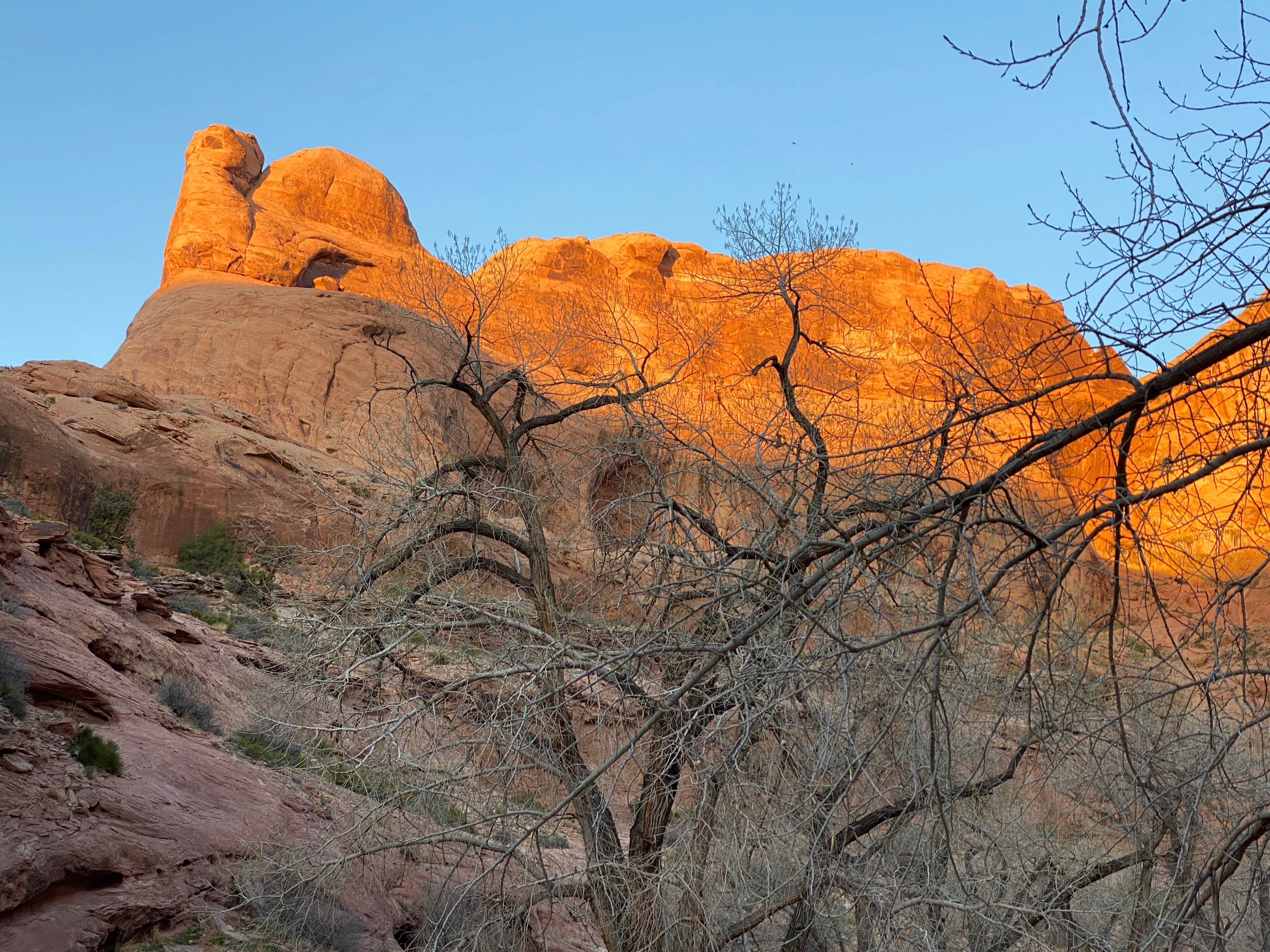 Moonflower Canyon Group Site