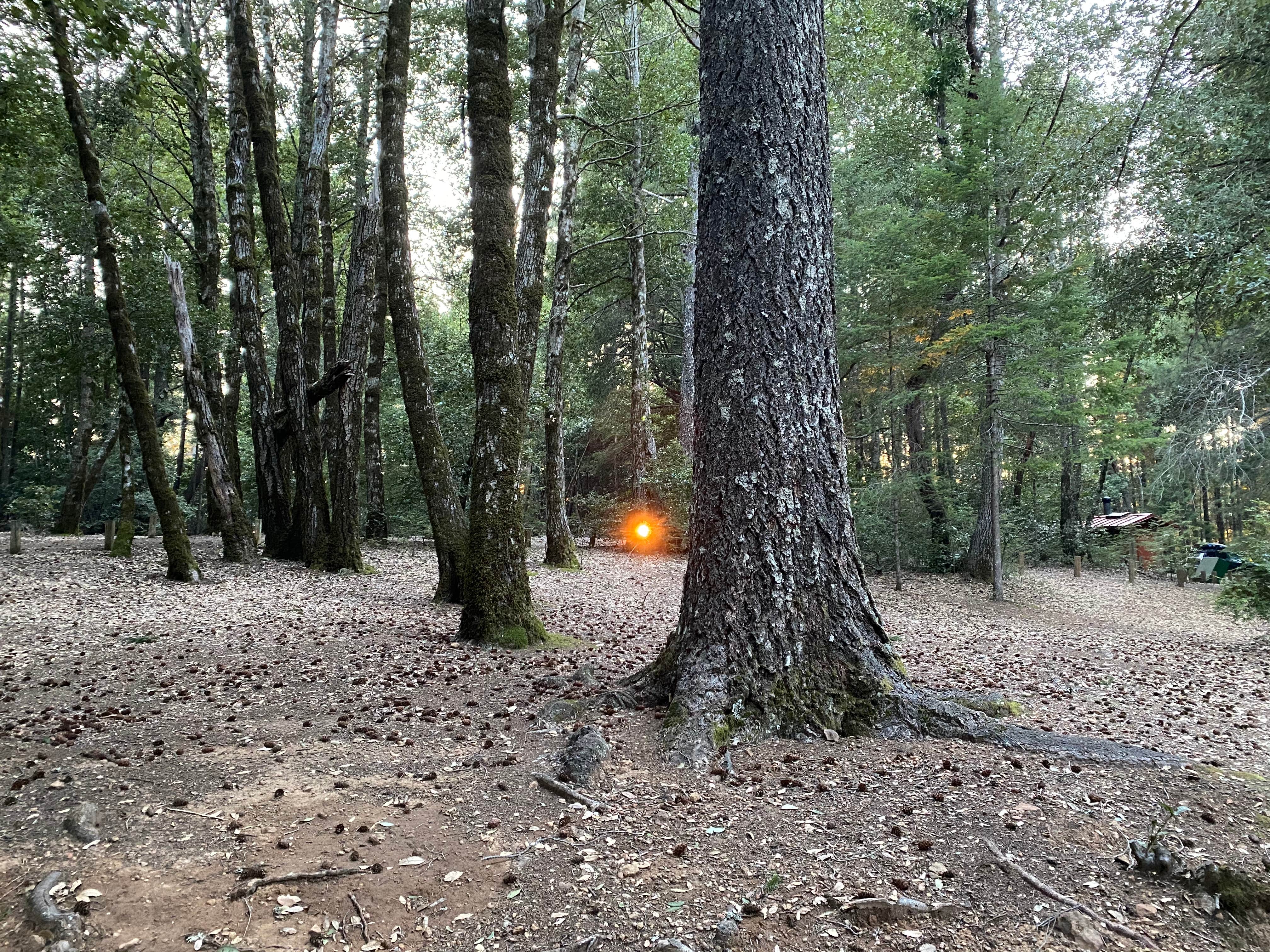 Camper-submitted photo at Tolkan Campground near King Range National Conservation Area
