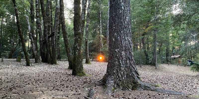 Camper submitted image from Tolkan Campground