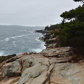 Review photo of Blackwoods Campground — Acadia National Park by Brendan S., May 31, 2018