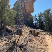 Review photo of The Needles Campground — Canyonlands National Park by Celina M., April 7, 2021