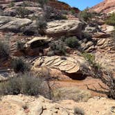 Review photo of The Needles Campground — Canyonlands National Park by Celina M., April 7, 2021