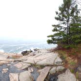 Review photo of Blackwoods Campground — Acadia National Park by Brendan S., May 31, 2018
