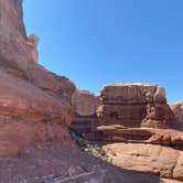 Review photo of The Needles Campground — Canyonlands National Park by Celina M., April 7, 2021