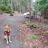 Review photo of Blackwoods Campground — Acadia National Park by Brendan S., May 31, 2018
