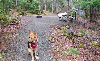 Brendan S.'s photo at Blackwoods Campground — Acadia National Park near Acadia National Park