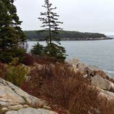 Review photo of Blackwoods Campground — Acadia National Park by Brendan S., May 31, 2018