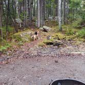 Review photo of Blackwoods Campground — Acadia National Park by Brendan S., May 31, 2018