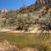 Review photo of Zion Canyon Campground by Sarah S., April 8, 2021