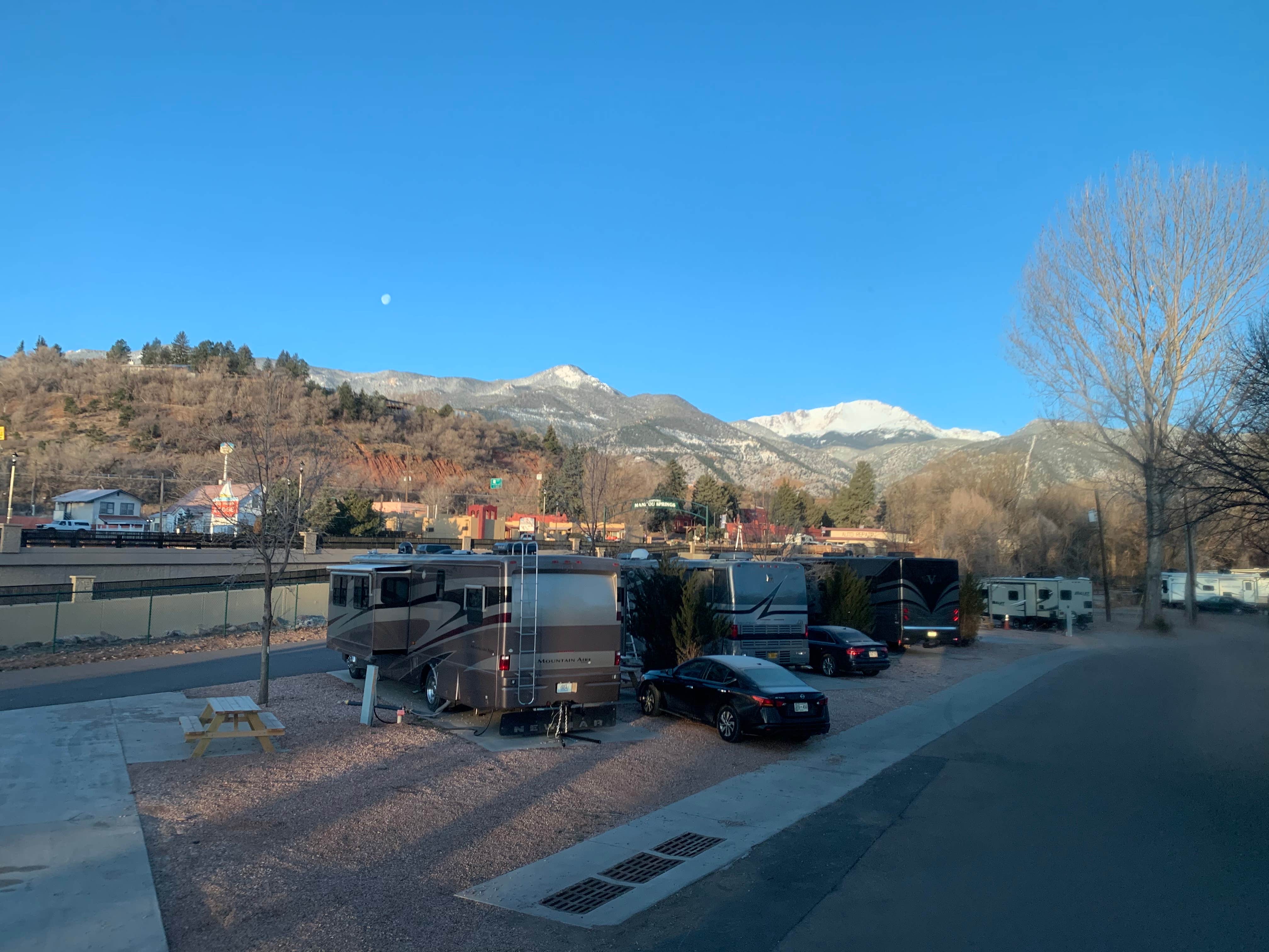 View All