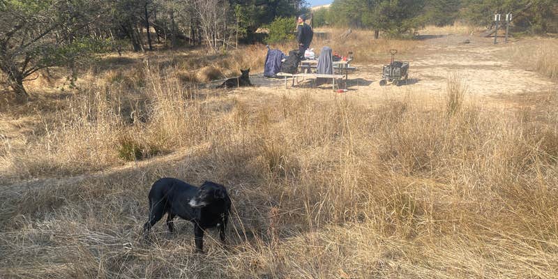 Camper submitted image from Jackpine Hike-In Campground — Ludington State Park