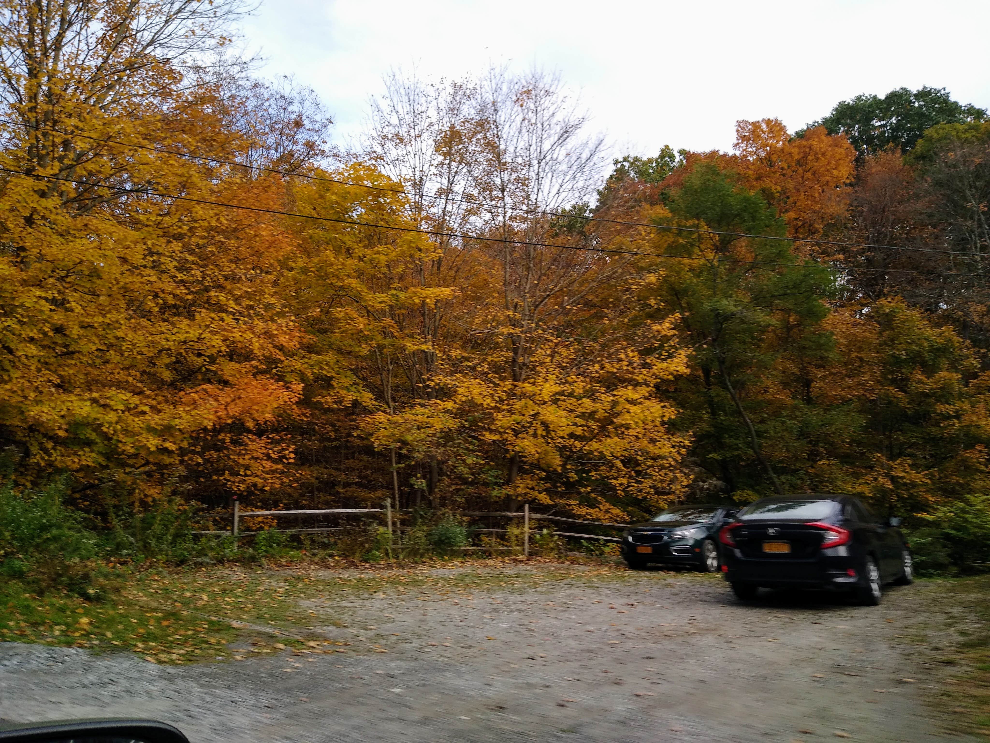 Camper-submitted photo at Lamoine State Park Campground near Blue Hill, ME