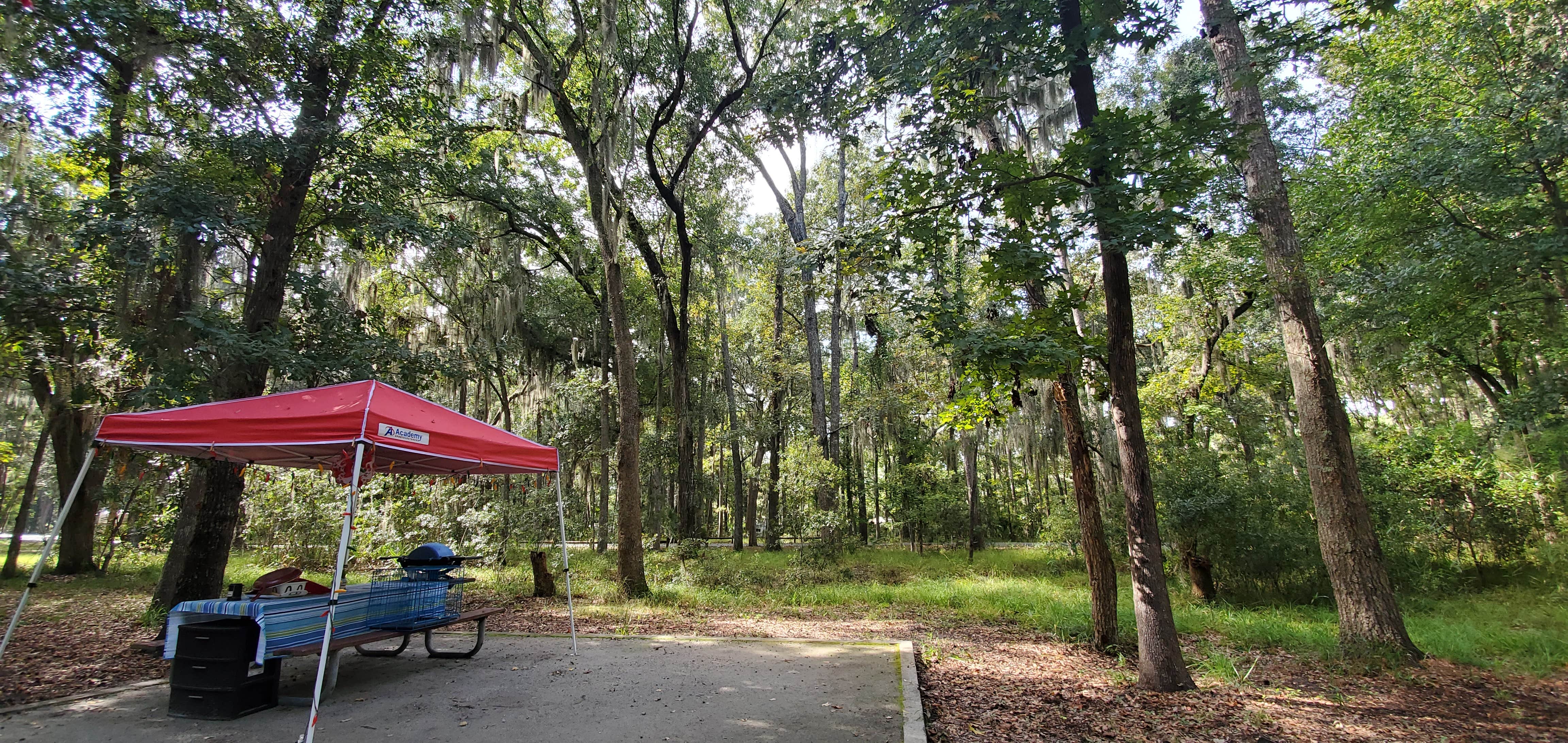 Skidaway Island The Dyrt