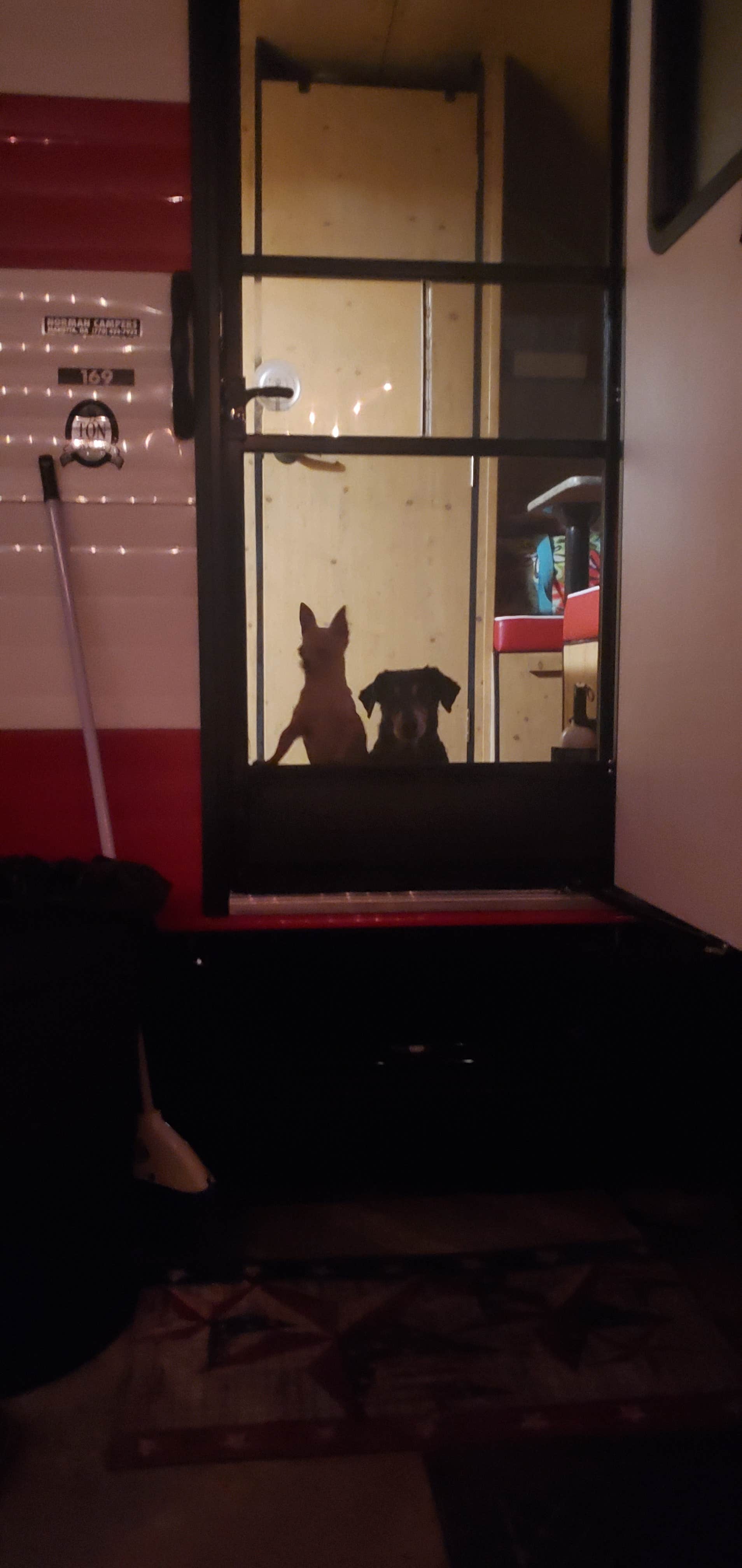 Kim M.'s photo of camping with pets at Skidaway Island State Park Campground near Tybee Island, GA