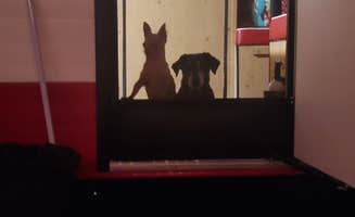 Kim M.'s photo of camping with pets at Skidaway Island State Park Campground near Tybee Island, GA