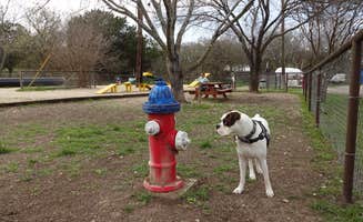 Reynolds  O.'s photo of camping with pets at Stone Creek RV Park near San Antonio, TX