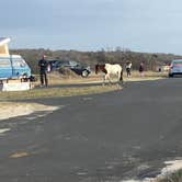 Review photo of Oceanside Assateague Campground — Assateague Island National Seashore by Danielle , April 8, 2021