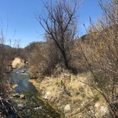 Review photo of Mesa Campground — Silverwood Lake State Recreation Area by Bower , December 4, 2020