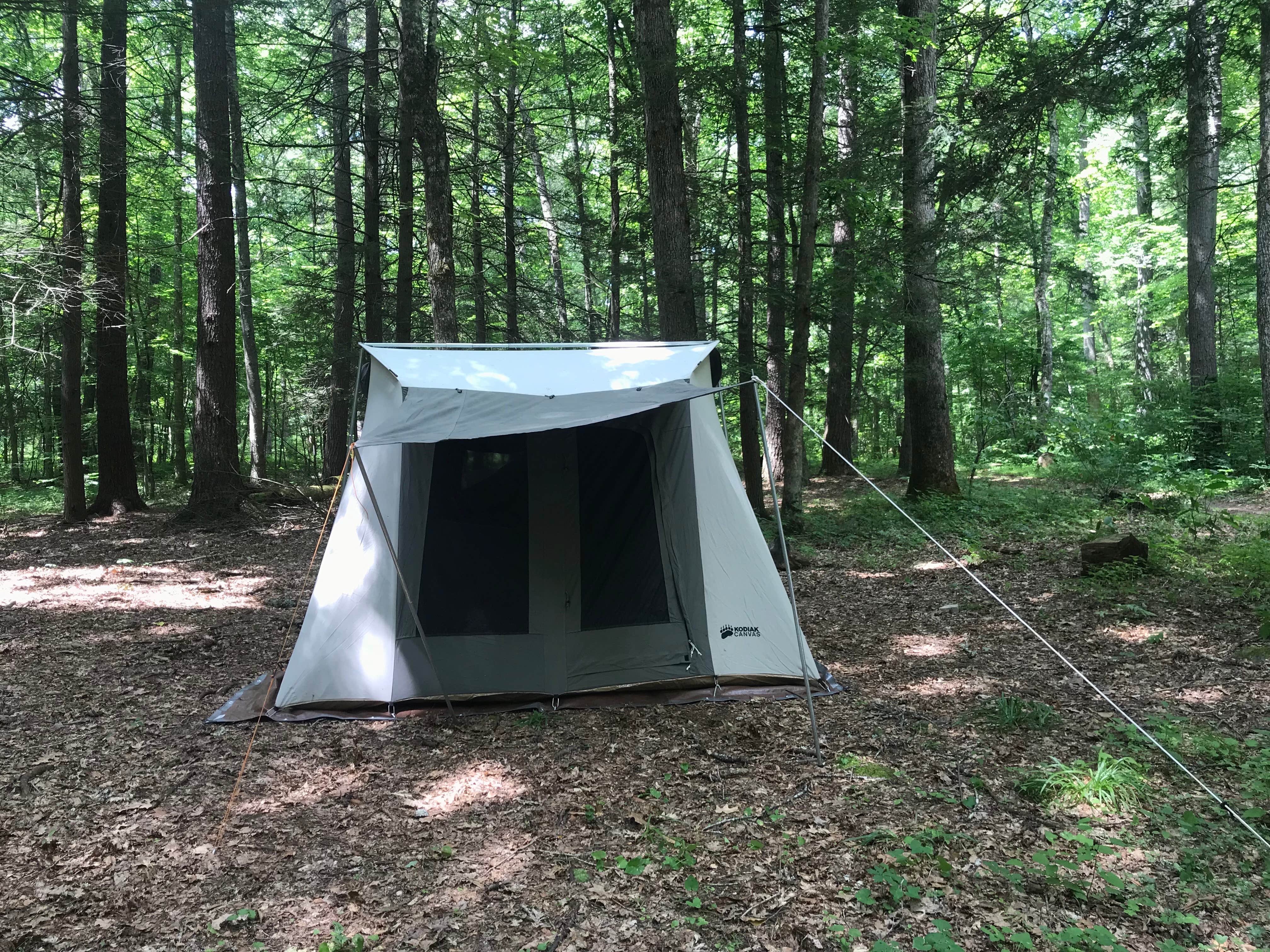 Camper submitted image from Monongahela National Forest Blue Bend Campground - 4