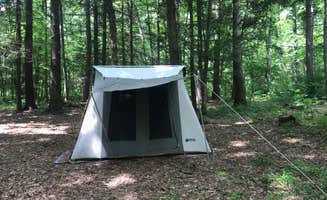 Emily B.'s photo at Monongahela National Forest Blue Bend Campground near Hillsboro, WV
