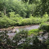 Review photo of Monongahela National Forest Blue Bend Campground by Emily B., April 8, 2021