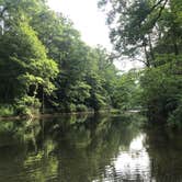 Review photo of Monongahela National Forest Blue Bend Campground by Emily B., April 8, 2021