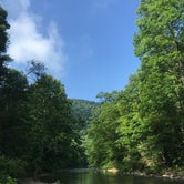 Review photo of Monongahela National Forest Blue Bend Campground by Emily B., April 8, 2021